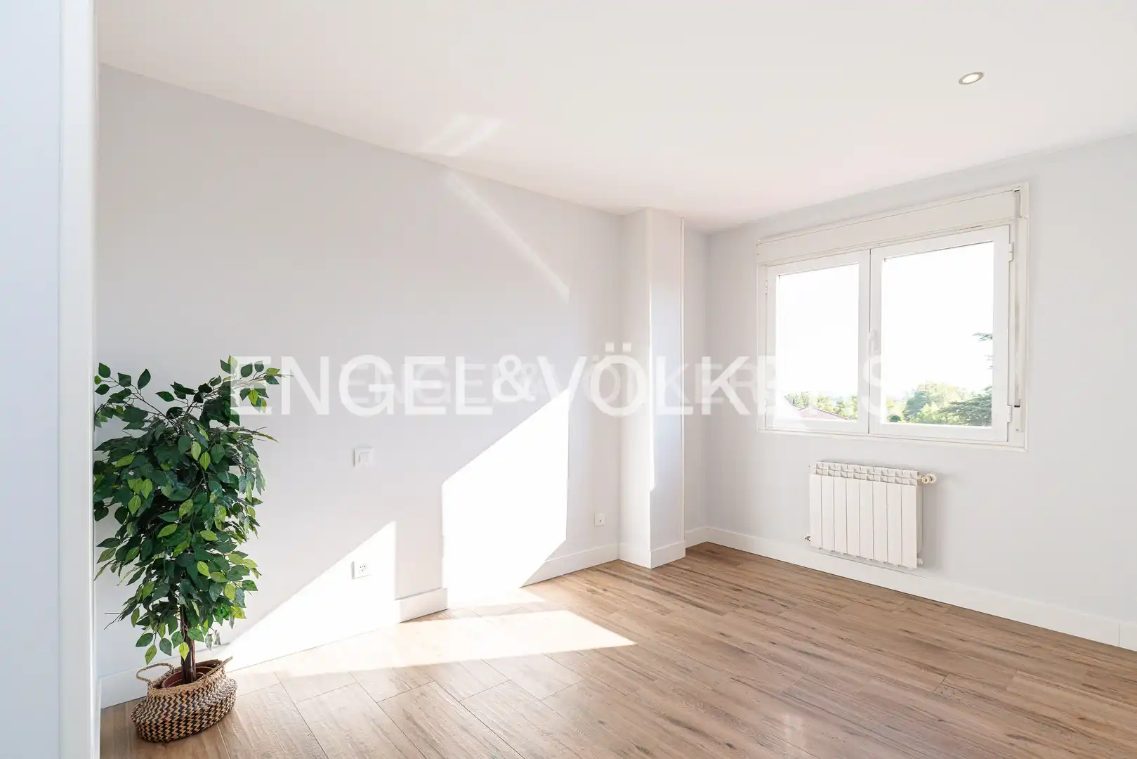 Appartement avec terrasse à louer à Casco Antiguo, imagen 15