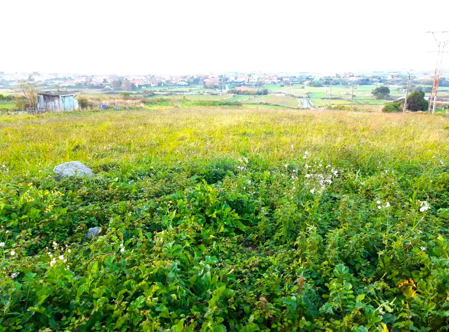 Residential land for sale in BOLADO, imagen 3