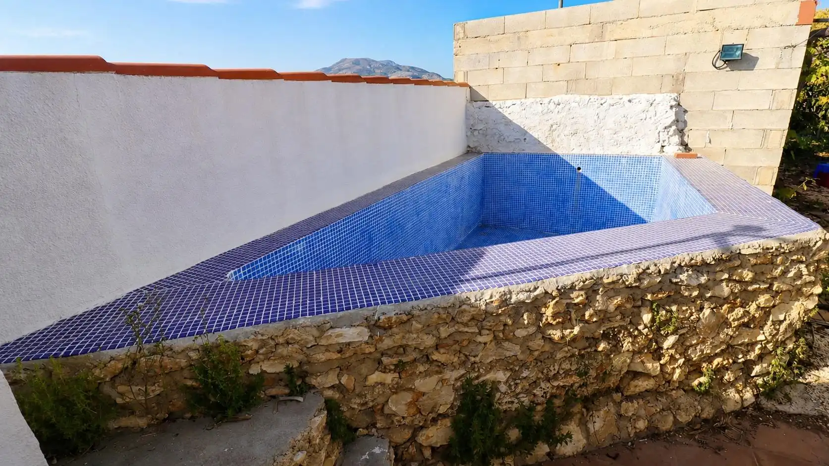 Swimming pool of Country homes for sale in Alcanar  with Private garden and Community pool