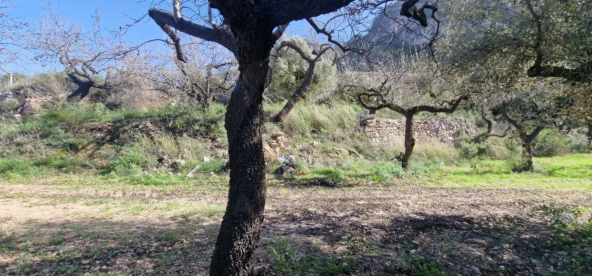 Residencial en venta en Rasquera