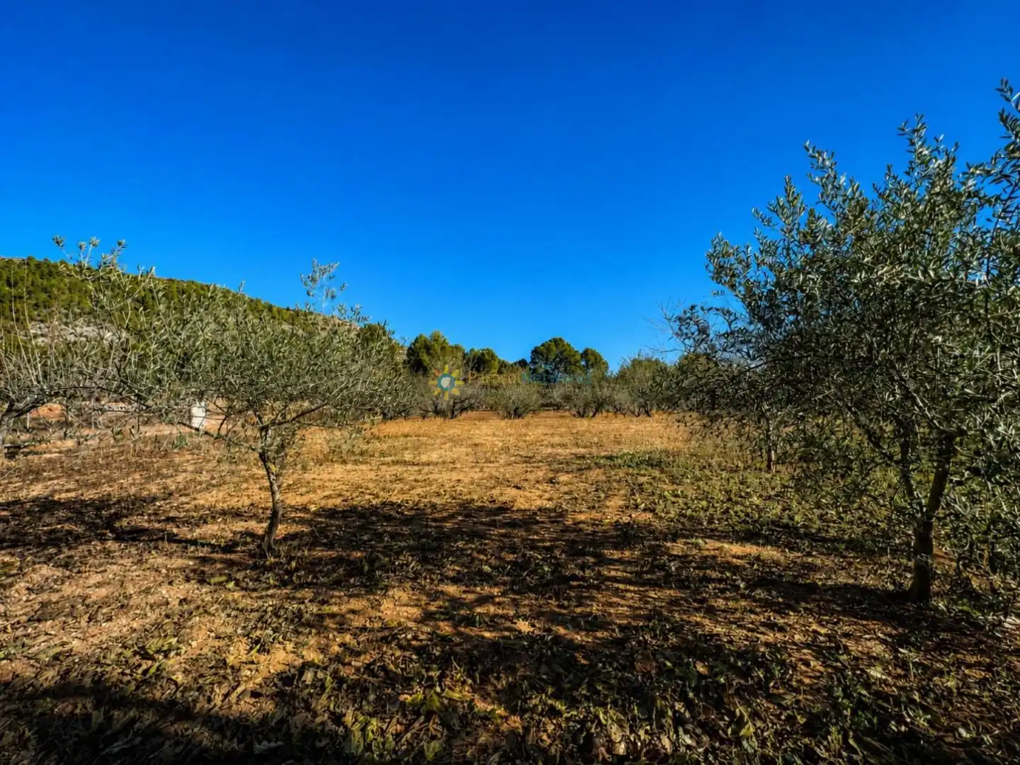 Xalet amb piscina en venda a L'Olleria, imagen 35