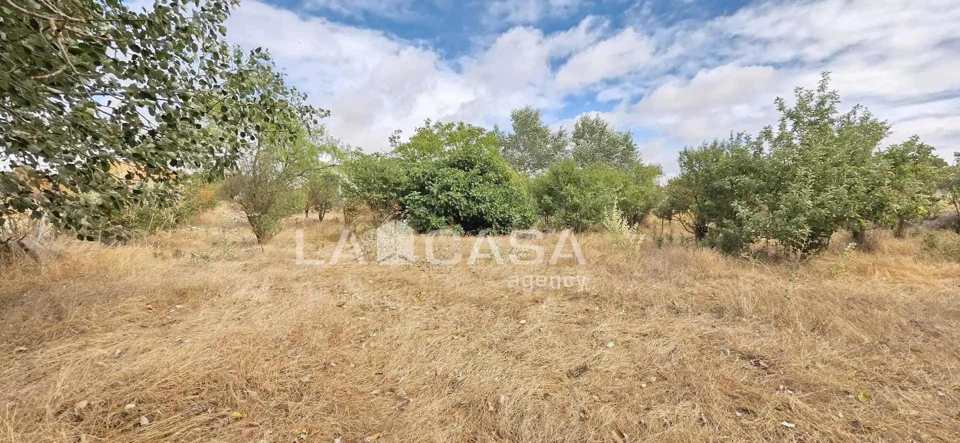 Residencial en venta en Meneses de Campos, Palencia
