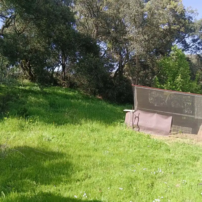 Finca rústica en venta en Cortelazor