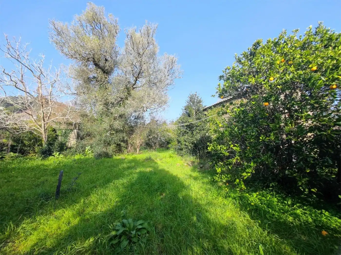 House for sale in Camiño da Torneira 26, imagen 14