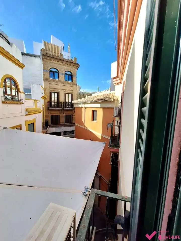 Vista exterior de Estudi de lloguer en Sevilla amb Aire condicionat i Moblat