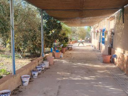 Jardí de Casa o xalet en venda en Hellín amb Calefacció i Terrassa