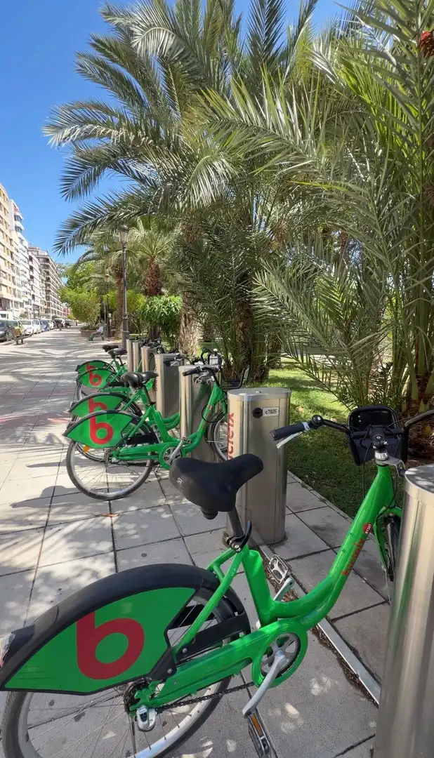 Appartement avec ascenseur à vendre à Elche ciudad, imagen 48