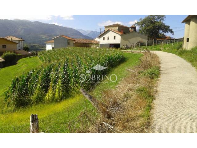 Terreno residencial en Venta en Calle Narganes, 1 en Peñamellera Baja