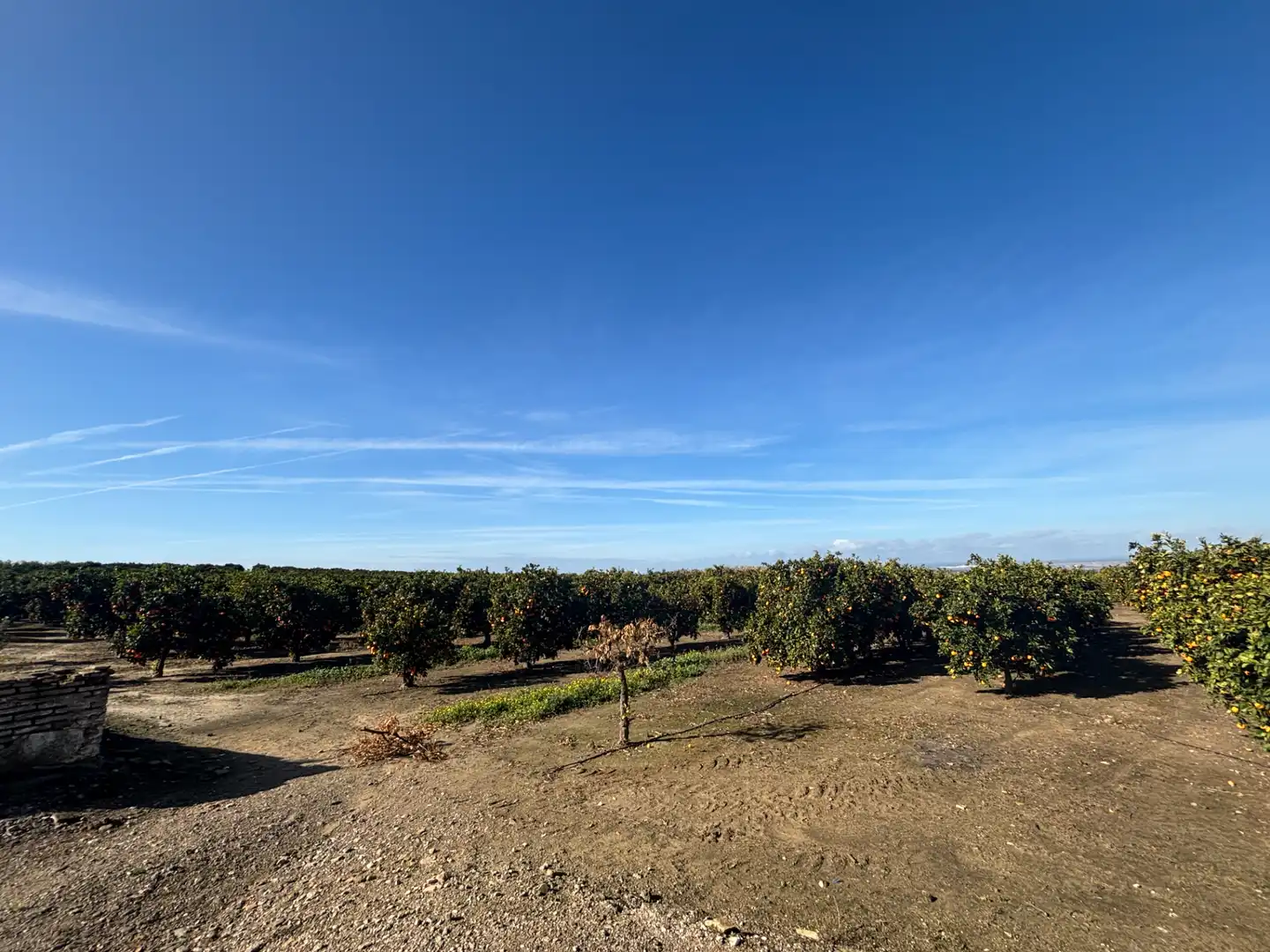 Land for sale in Sanlúcar la Mayor
