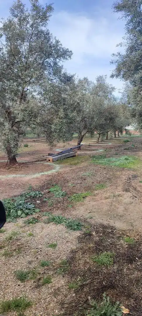 Casa o xalet en venda en Andújar amb Aire condicionat i Piscina
