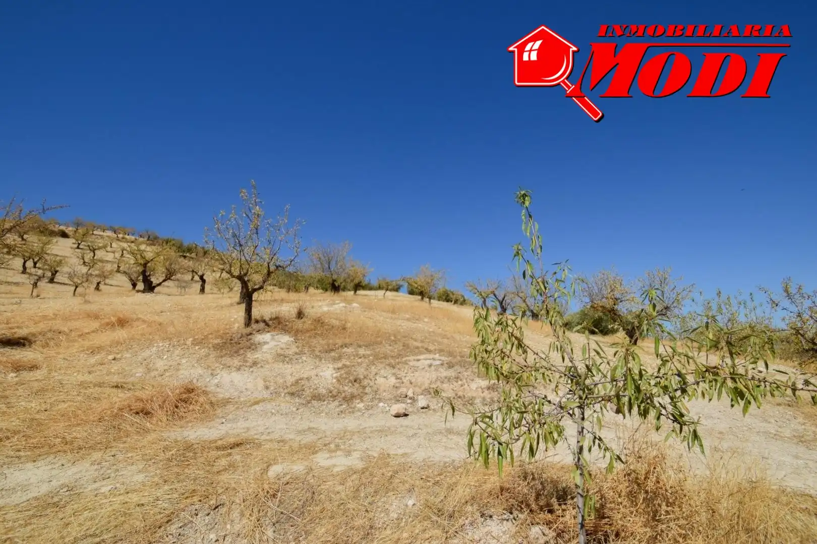 Finca rústica en venda en Cacín amb Jardí privat