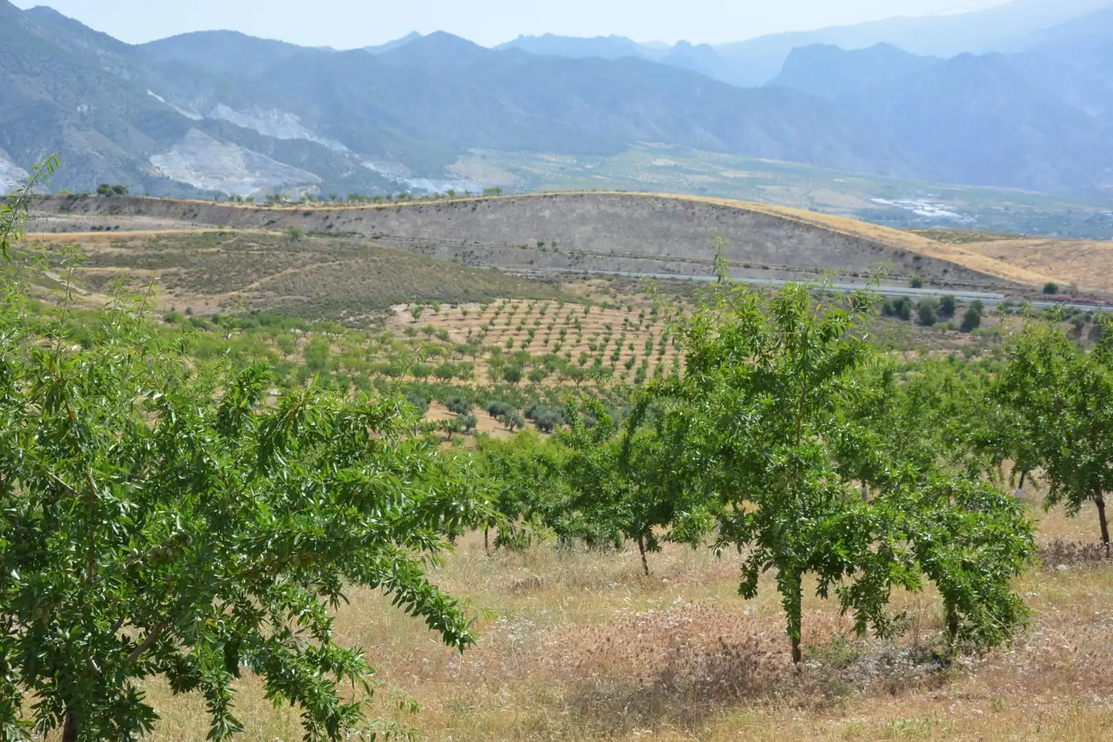 Land for sale in Padul