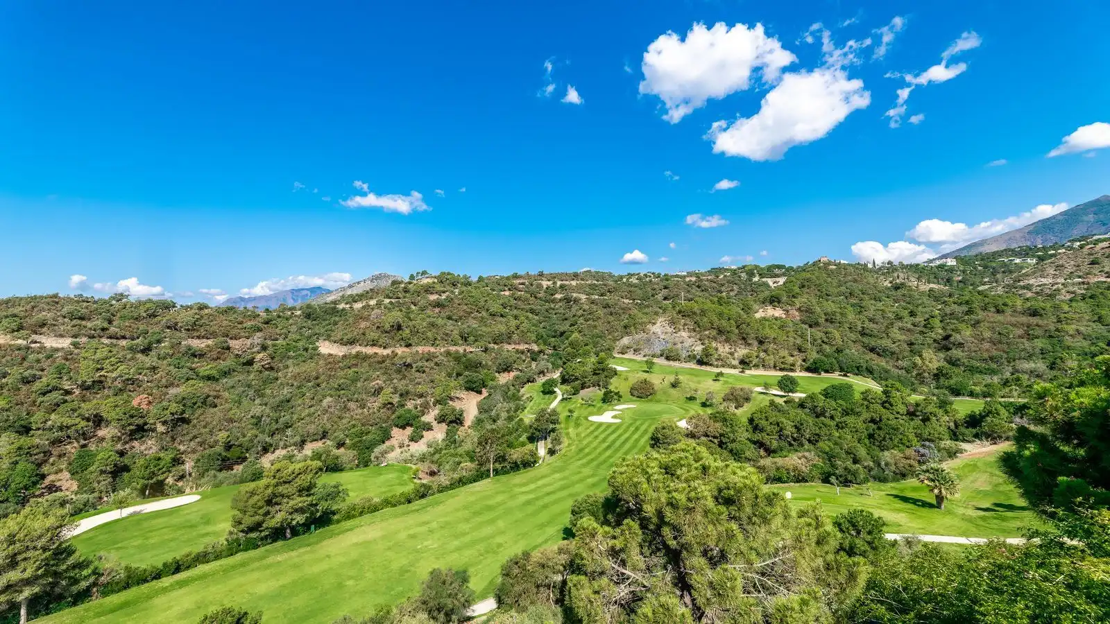 House with pool for sale in Marbella Centro, imagen 4