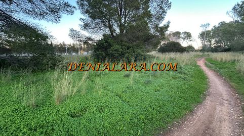 Parcela rústica en venta en Dénia – 1.550 m² con vistas al Montgó, imatge 3