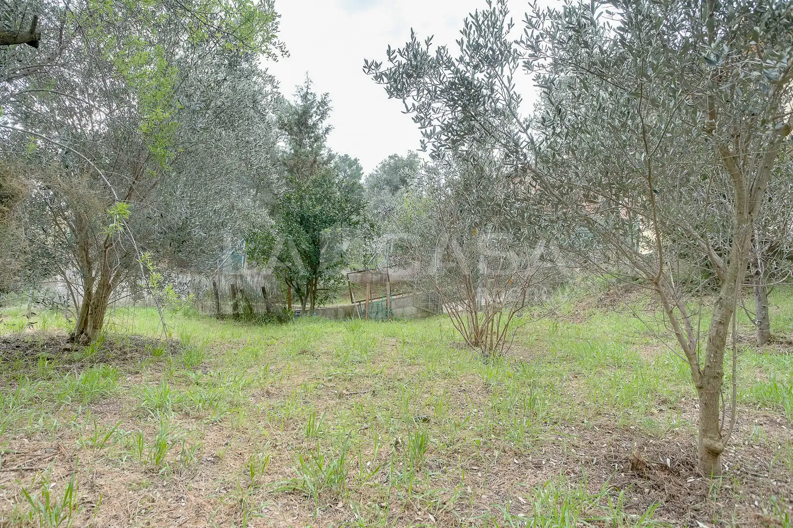 Houses for sale in Bigues i Riells del Fai