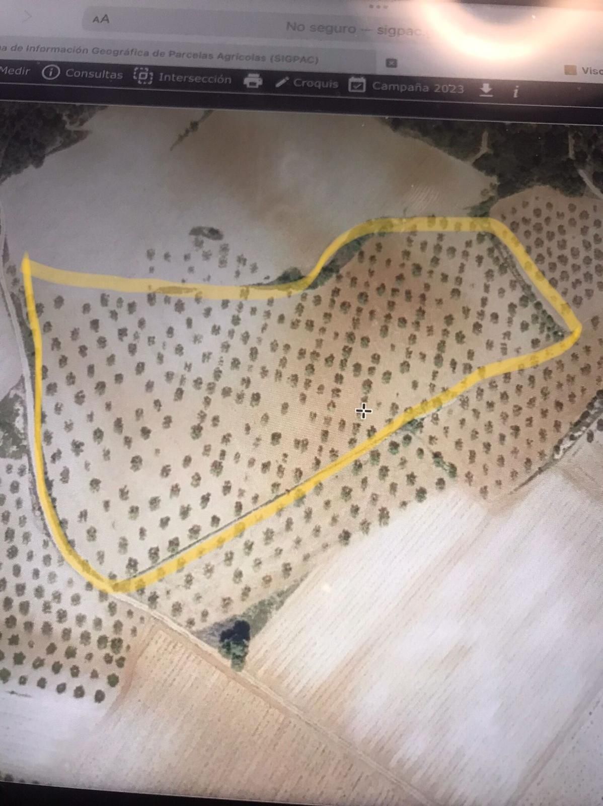 Terreny industrial en venda en Requena