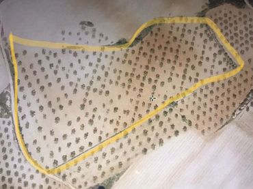 Terreno residenziale in vendita a Requena