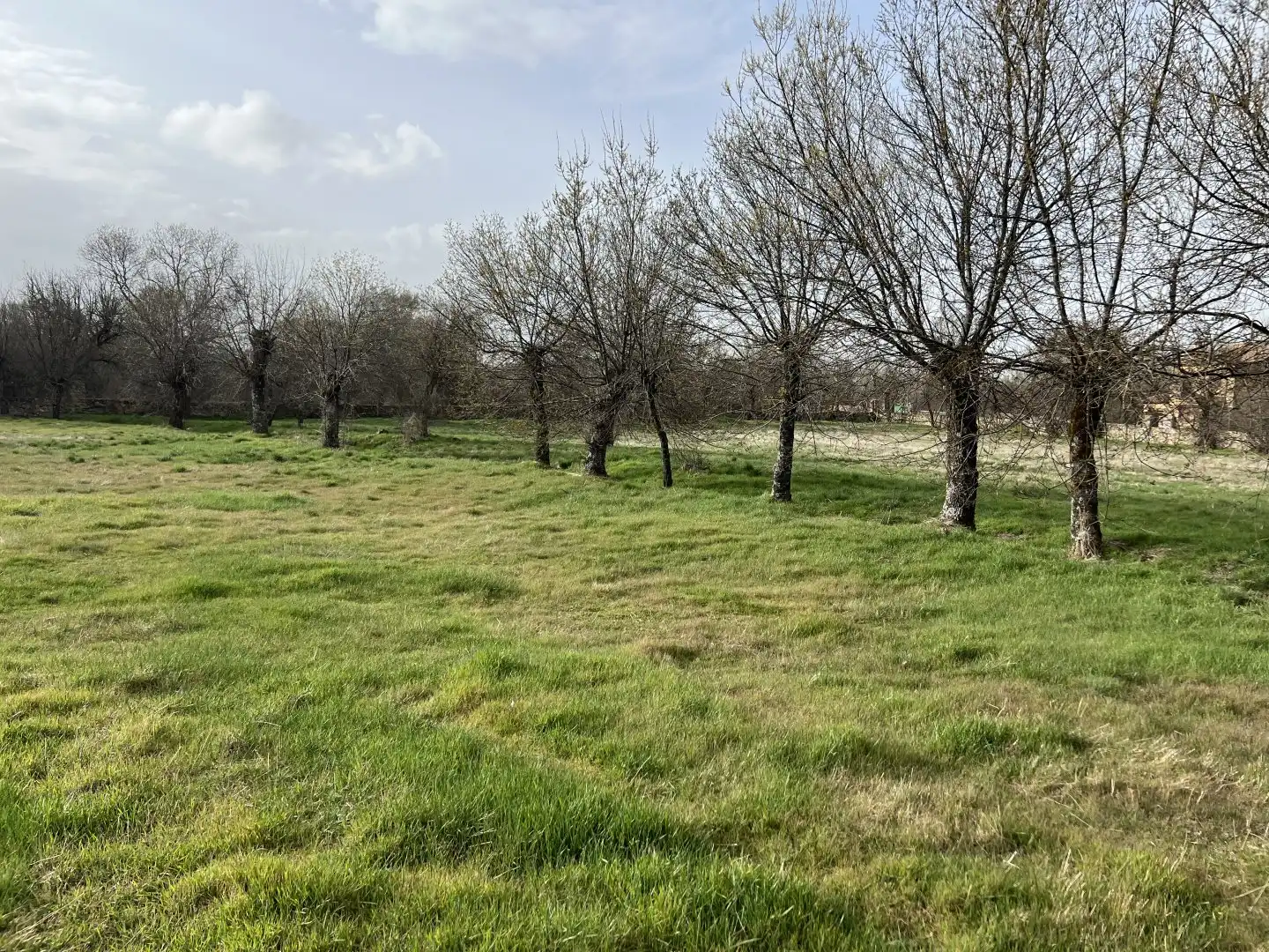 Casa o chalet en venta en Torrecaballeros con Calefacción, Jardín privado y Piscina