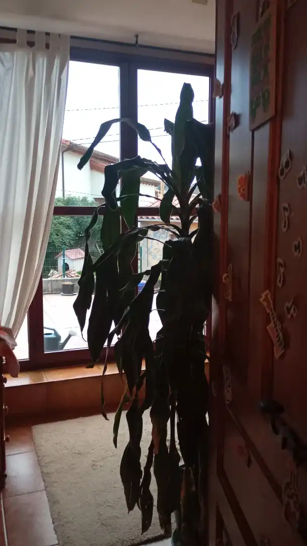 Flat for sale in Siero  with Air Conditioner, Terrace and Balcony