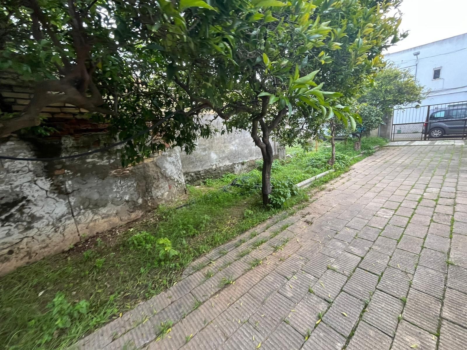 Vista exterior de Casa o chalet en venta en  Sevilla Capital con Jardín privado