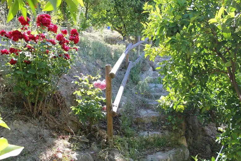Country house for sale in Lecrín, imagen 16