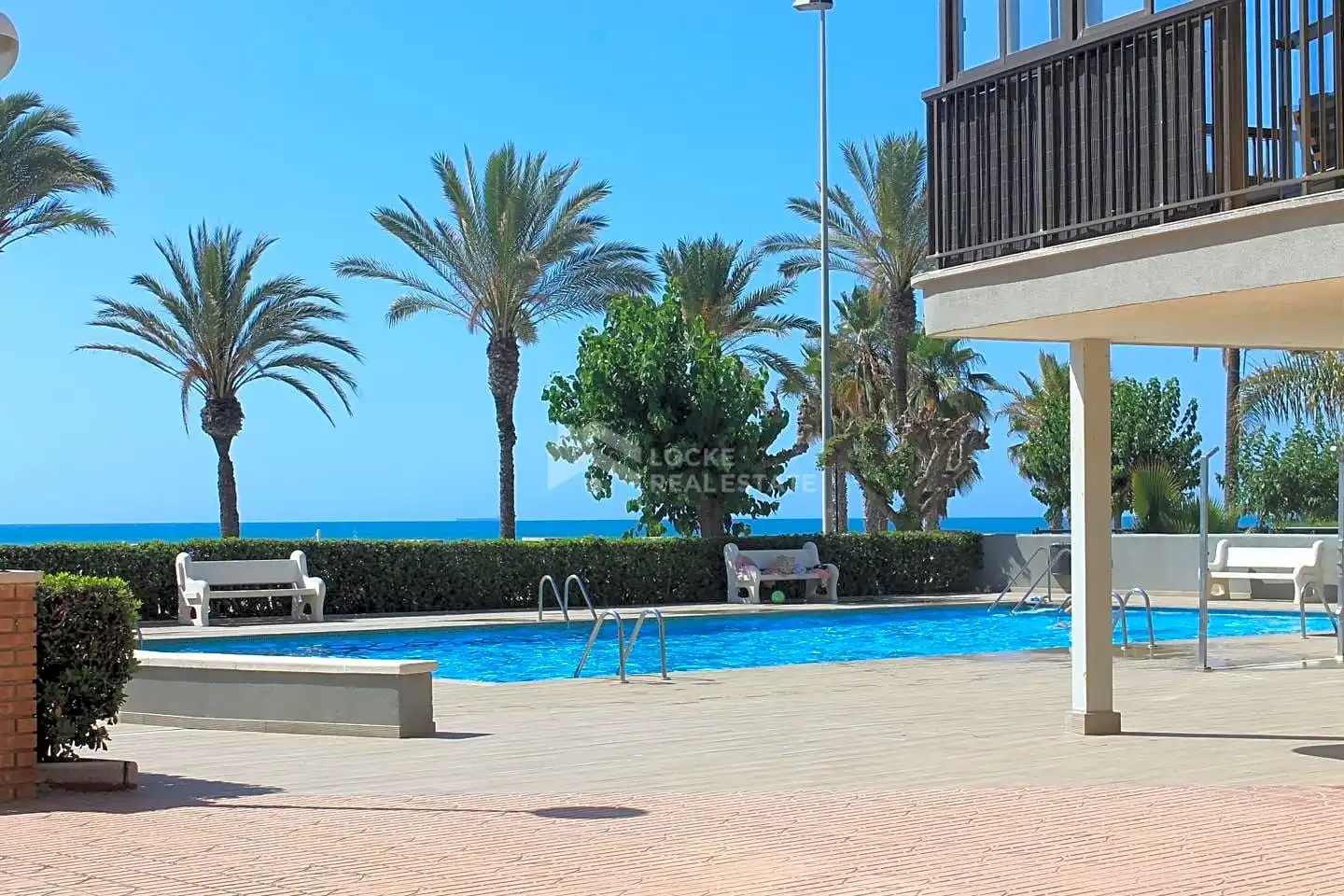 Piscina de Apartamento de alquiler en Benicasim / Benicàssim con Terraza, Piscina y Piscina comunitaria