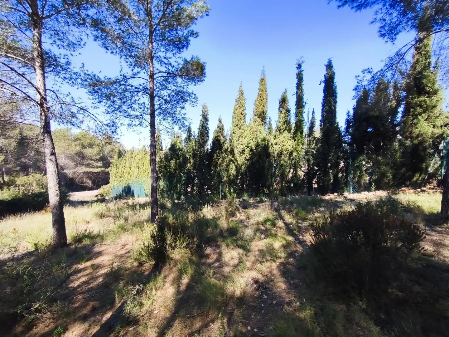 Terreno en venta en Alfara de la Baronia