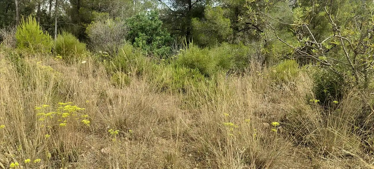 Terreno residencial en venta en Olivares, imagen 13
