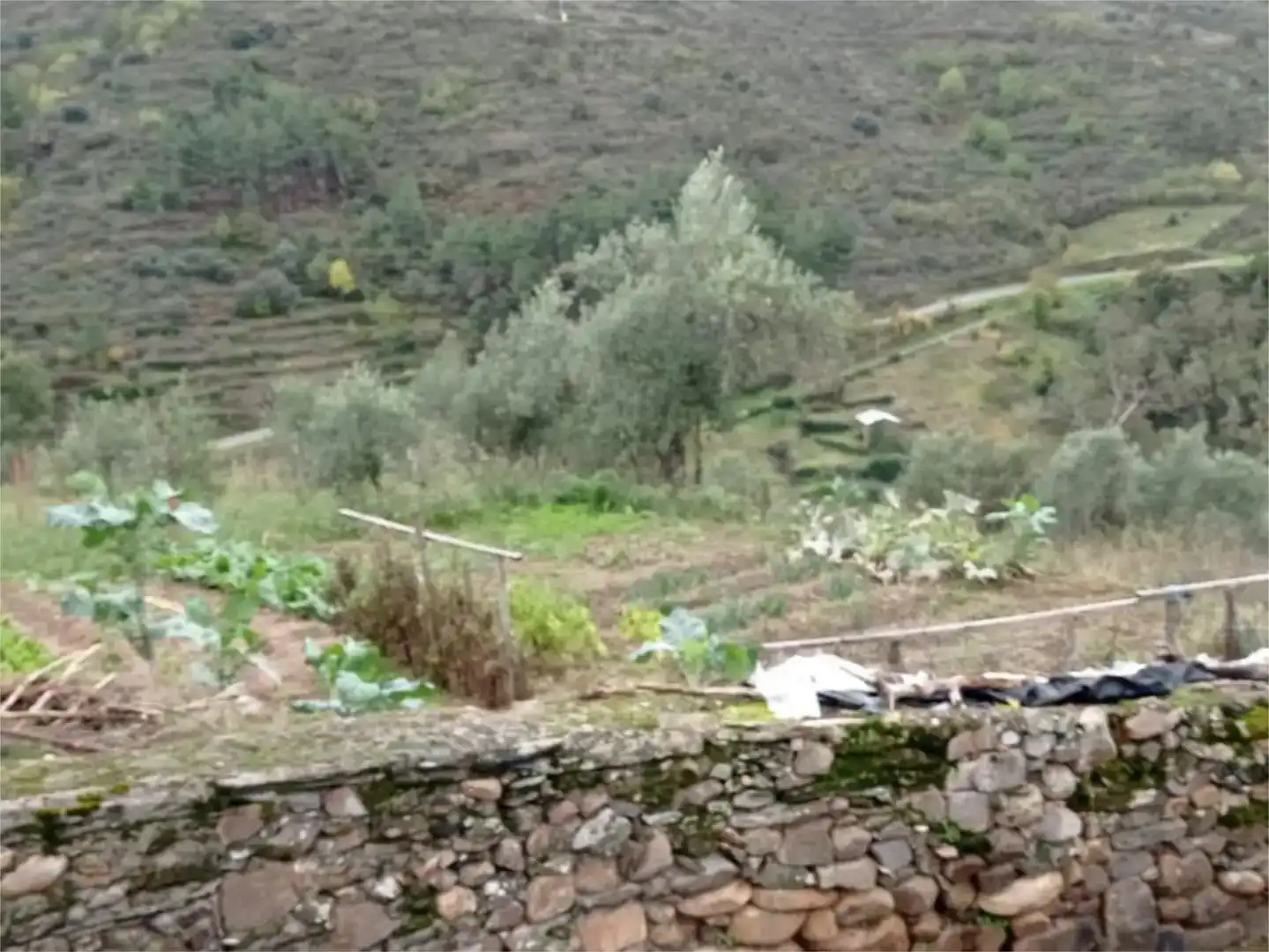Casa adosada en venda en Petín amb Moblat