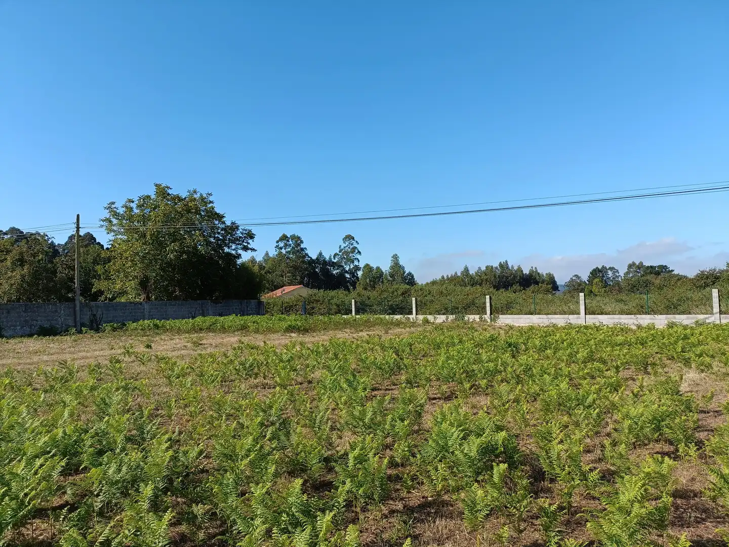 Casa o xalet en venda en Bergondo amb Jardí privat i Traster