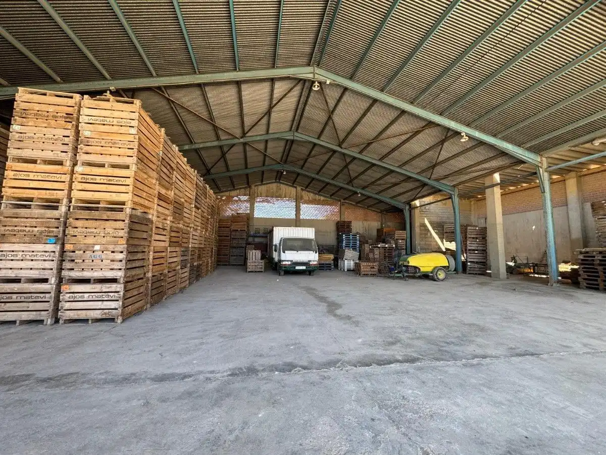 Nave industrial in vendita a La Llosa de Ranes, imagen 6