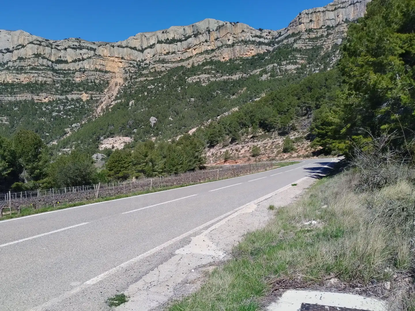 Vista exterior de Terreno en venta en La Morera de Montsant