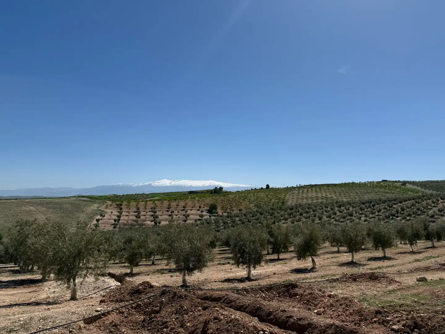 Land for sale in Ventas de Huelma