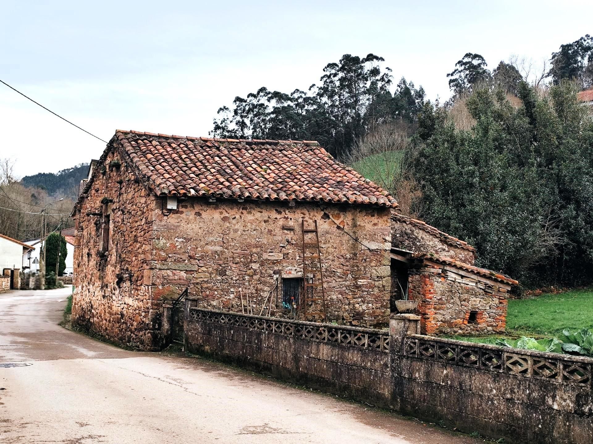 Exterior view of House or chalet for sale in Santa María de Cayón  with Private garden