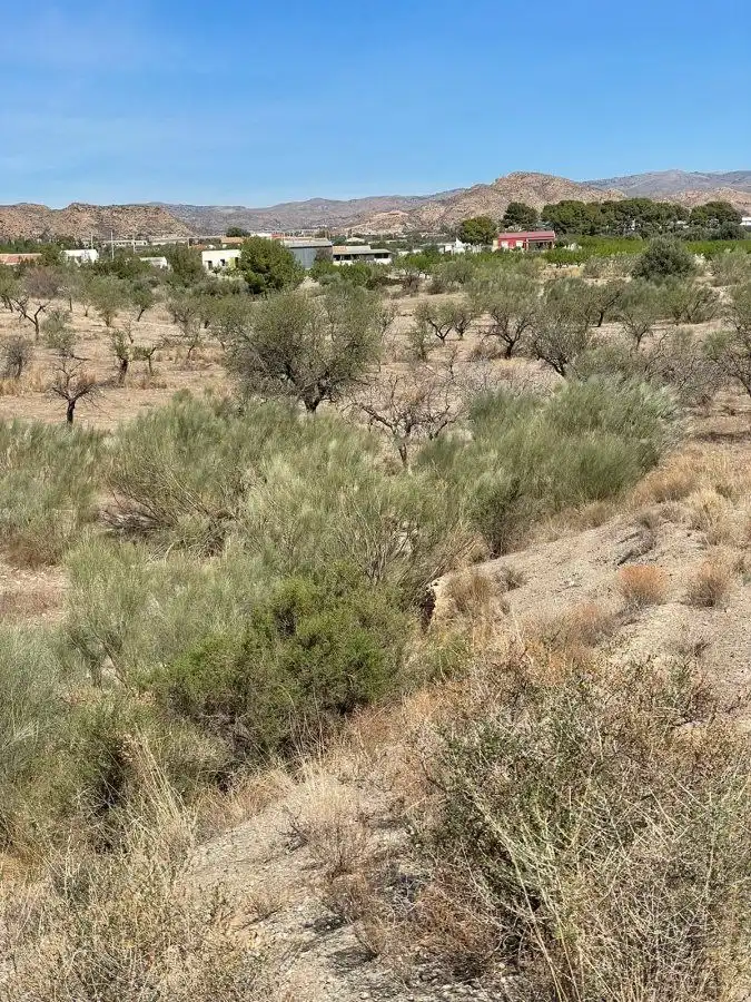 Terrain rustique à vendre à Huércal-Overa, imagen 3