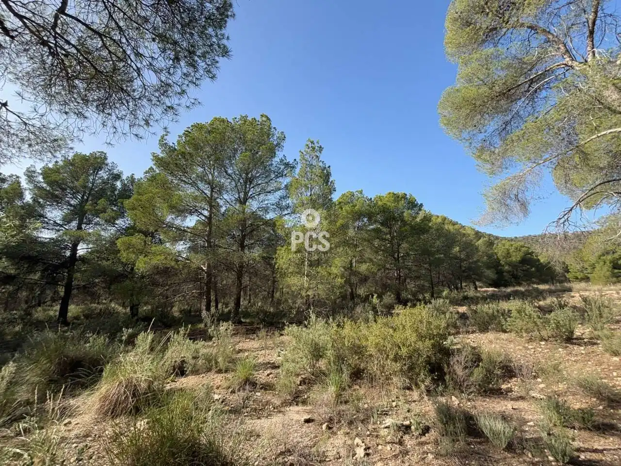 Terreny rústic en venda a Calle Sierra Espuña Anexo Balsa Grande 3 S/N, imagen 6