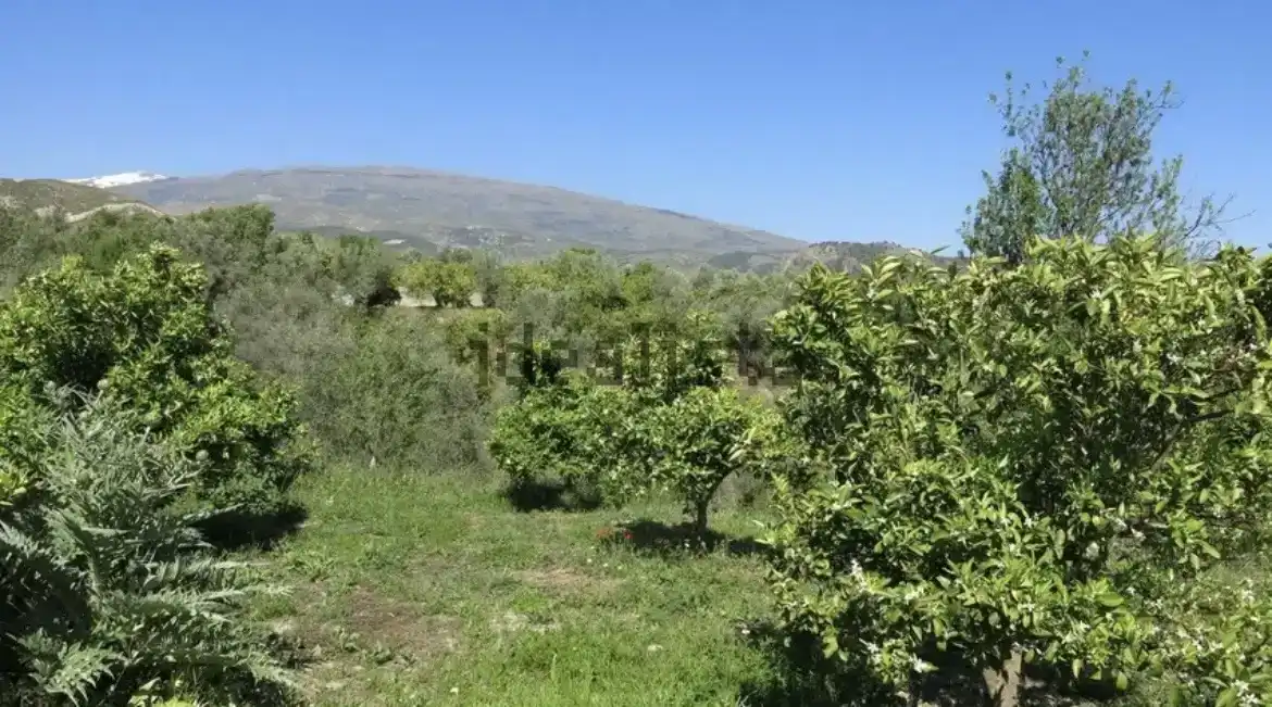 Finca rústica en venda en Lecrín