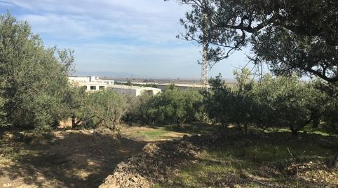 Foto 4 de Finca rústica en venda a Nord, La Ràpita