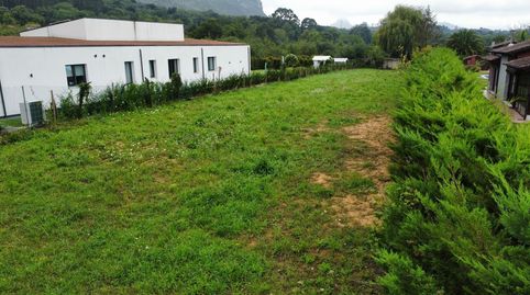 PARCELA DE 2.034 M2 EN CAMANGU RIBADESELLA, immagine 4