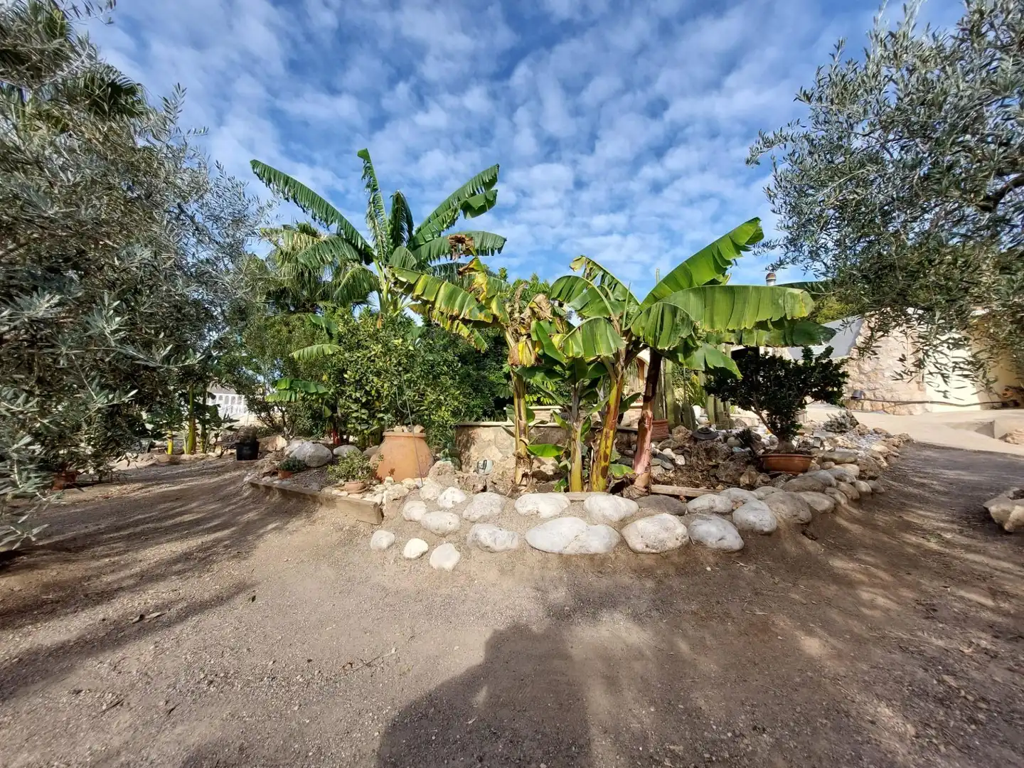 Casa rustica con piscina in vendita a Tébar - Los Arejos, imagen 51