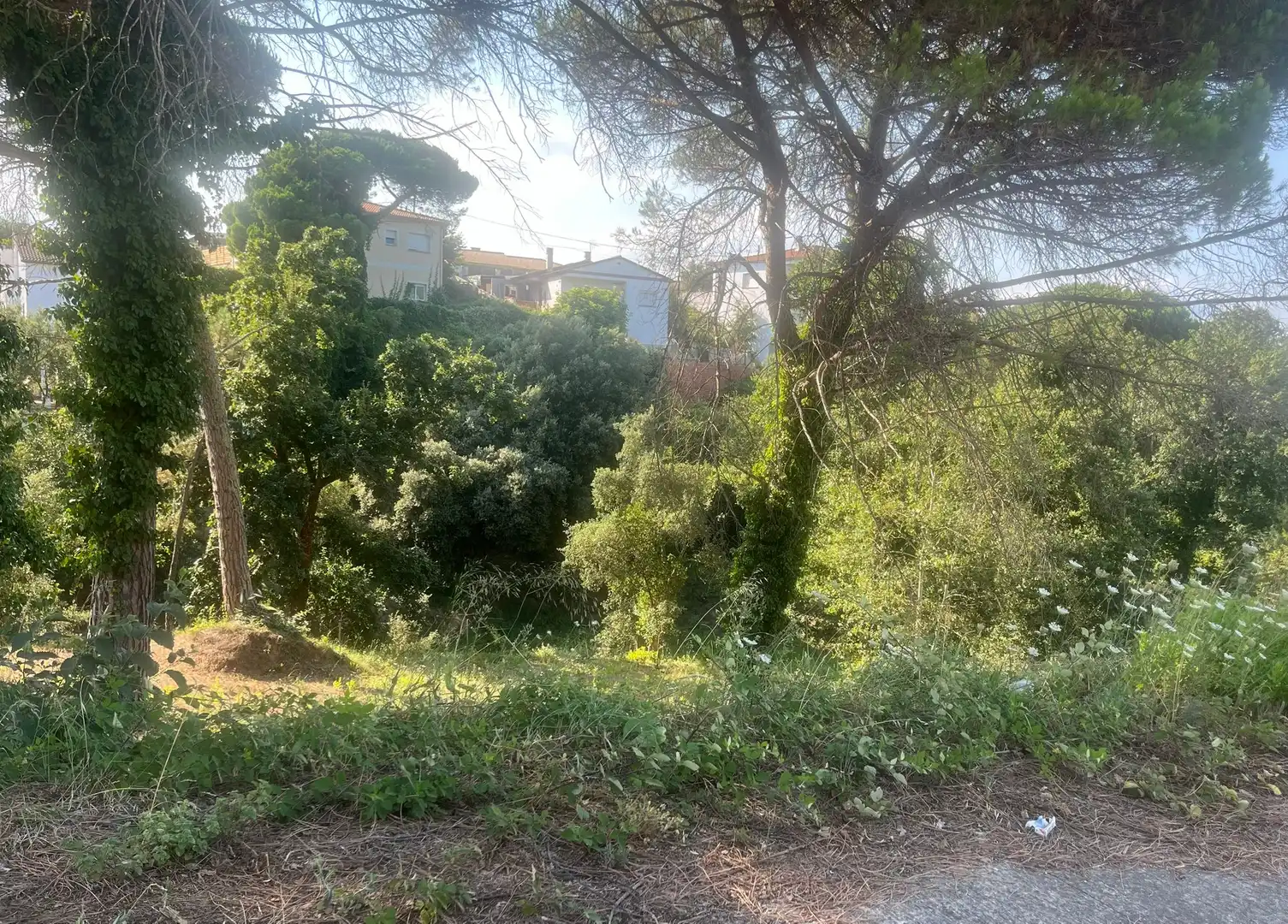Wohnbaugrundstück zum Verkauf in Niàgara Parc - Àgora Parc, imagen 4