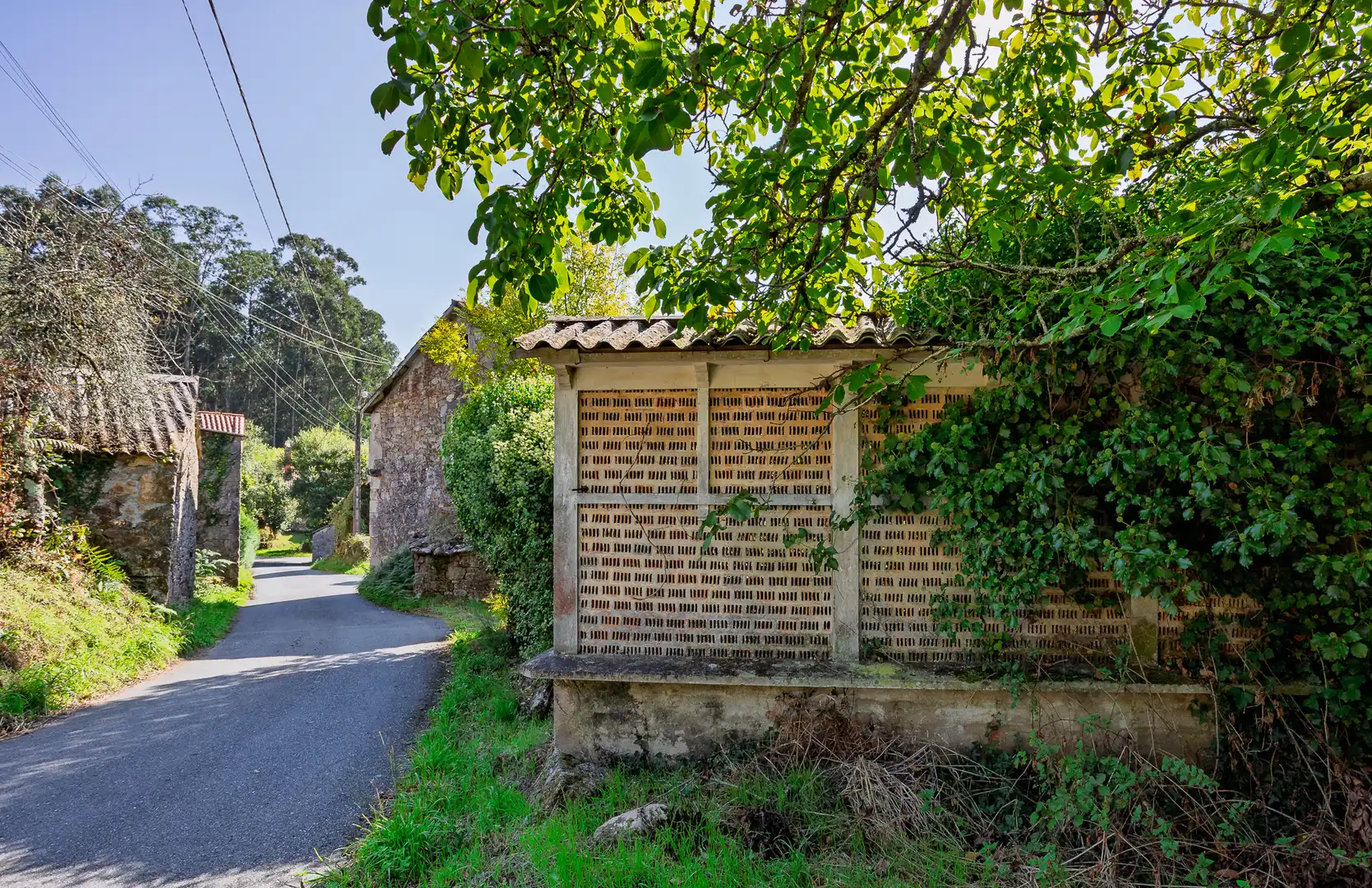 Exterior view of Country homes for sale in Vilarmaior
