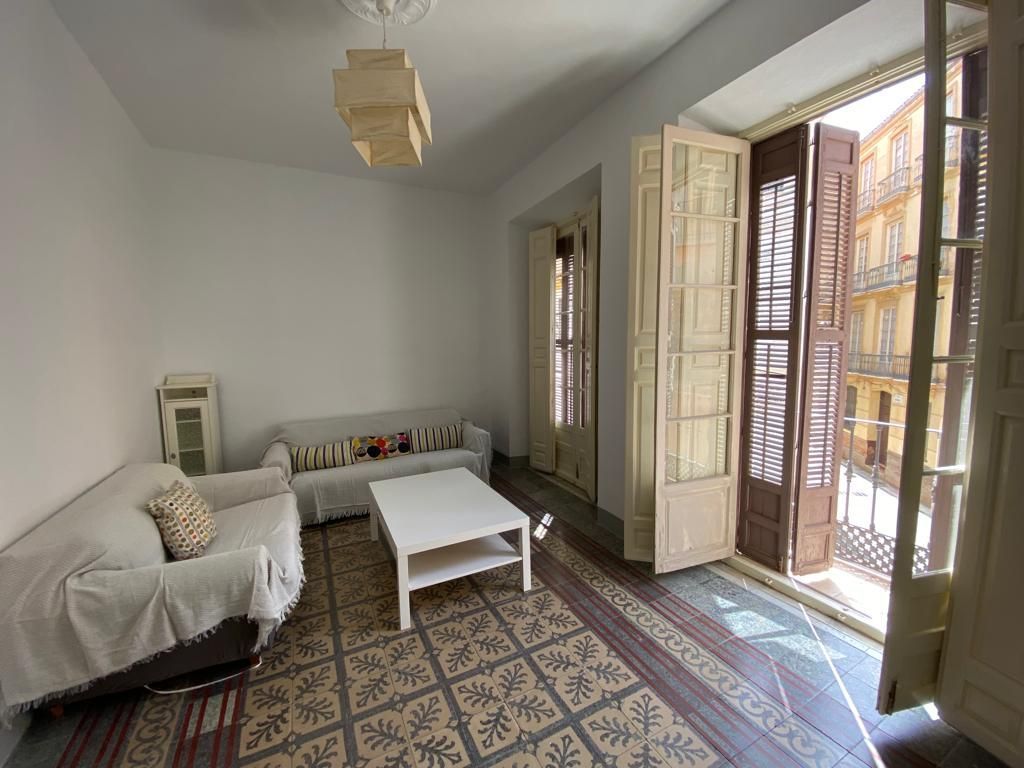 Sala d'estar de Pis de lloguer en Málaga Capital amb Moblat