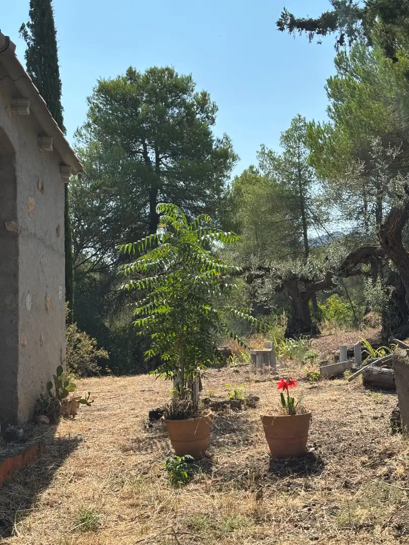 Rural land for sale in Carrer de la Muntanya, imagen 44