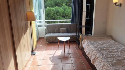 Foto 4 de Estudio de alquiler en Palmanova, Calvià