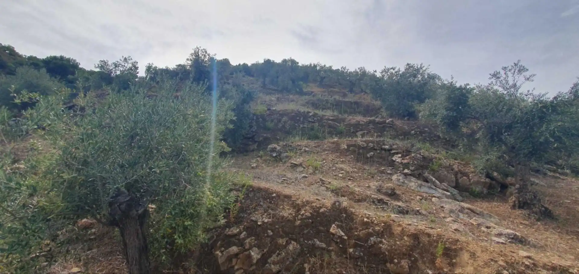Terreni e lotti in vendita a Yunquera, imagen 14