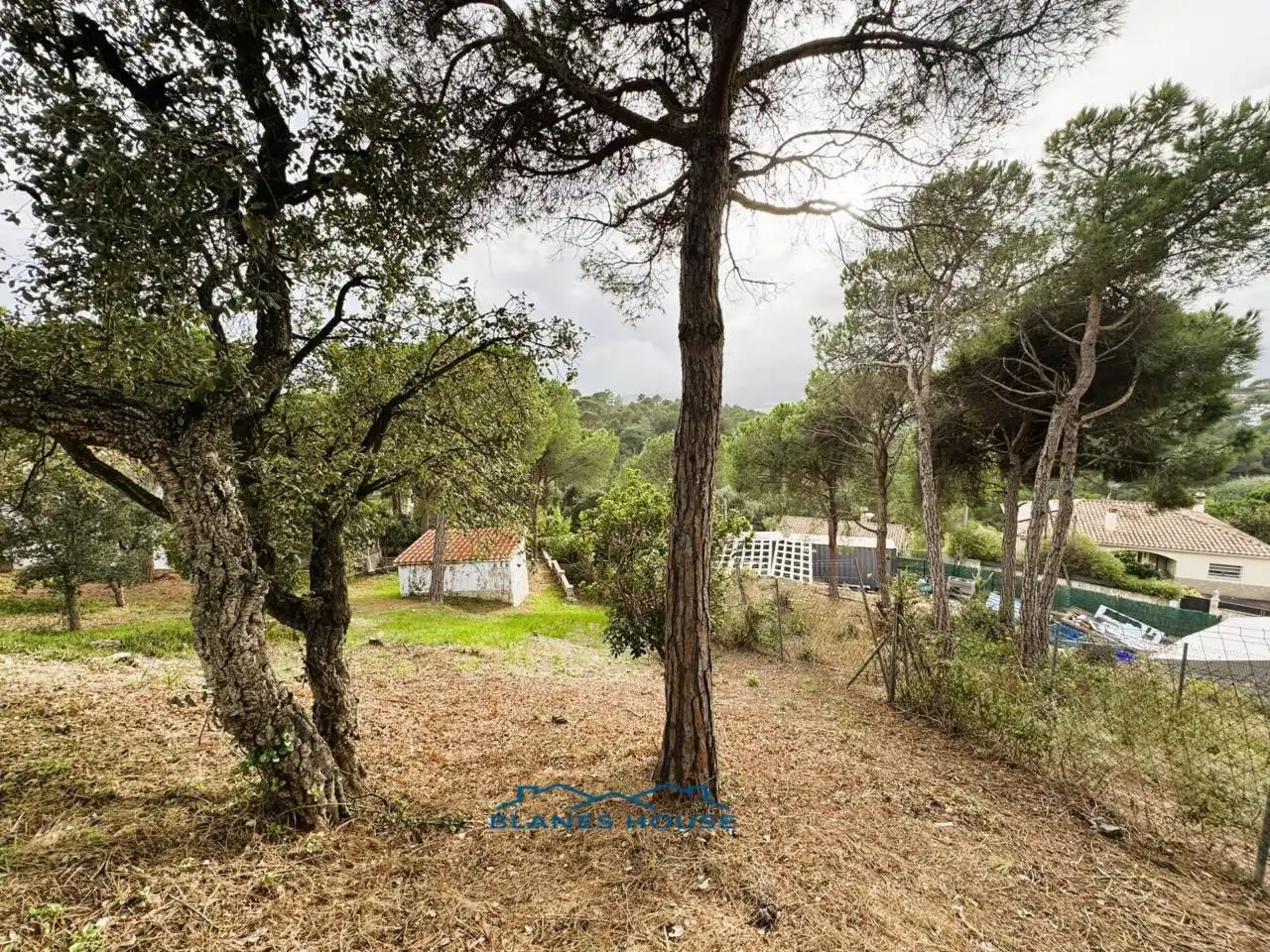 Vista exterior de Casa o xalet en venda en Tordera amb Aire condicionat, Jardí privat i Terrassa