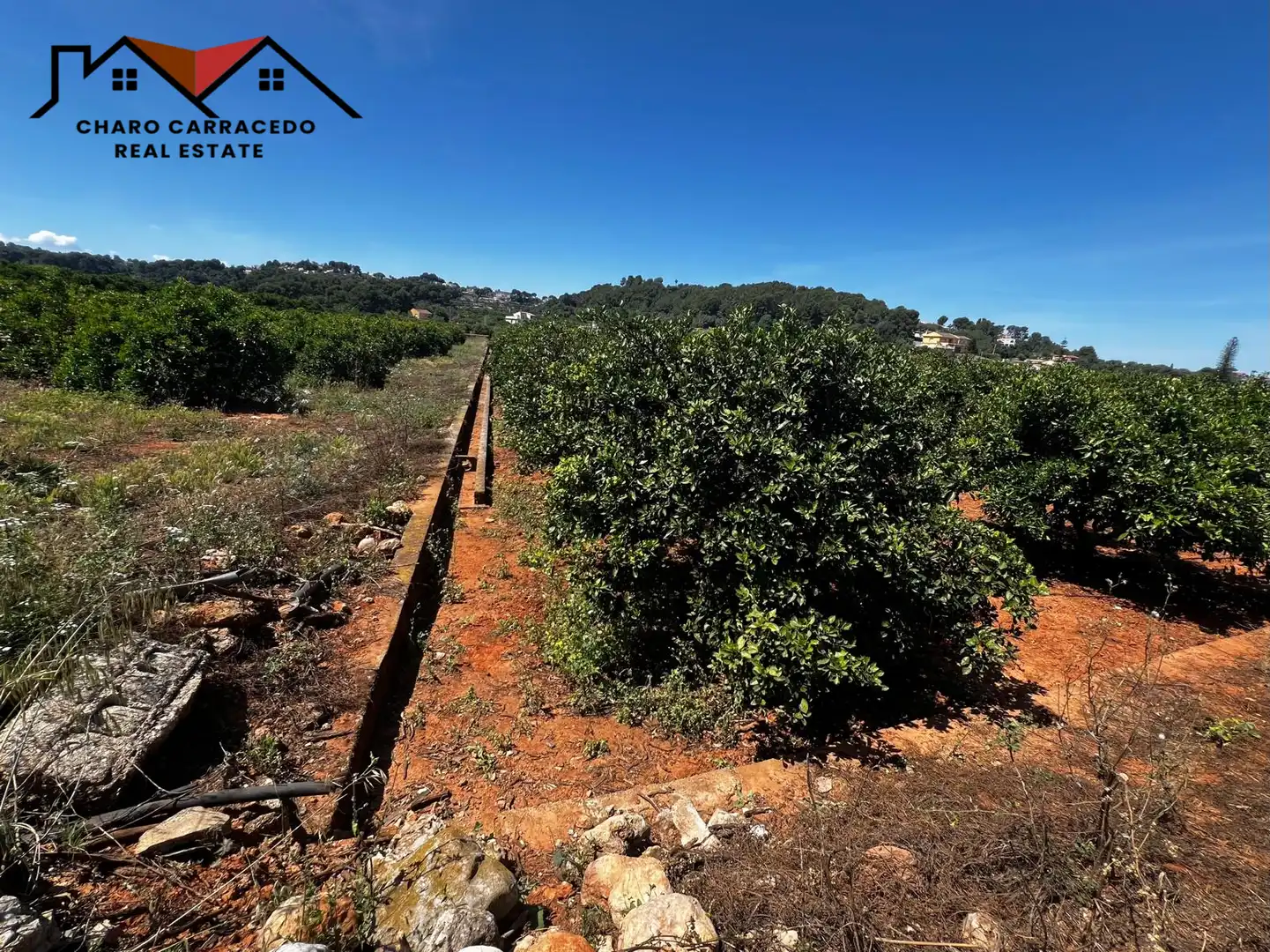 Terreno rústico en venta en Camí de la Murta-Ombria, imagen 14