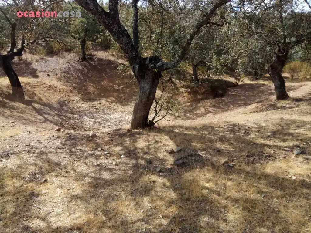 Finca rústica en venta en Villanueva del Duque