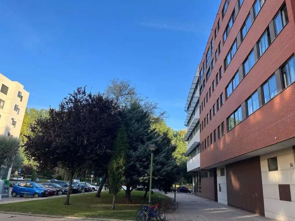 Gewerbefläche zur Miete in De Alfonso Xi, imagen 17